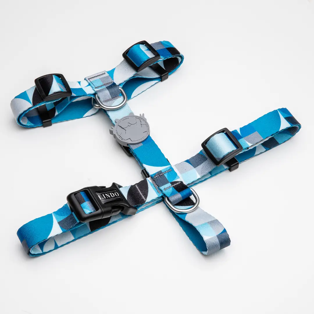 Lindo Dogs Breeze H Tipi Köpek Göğüs Tasması