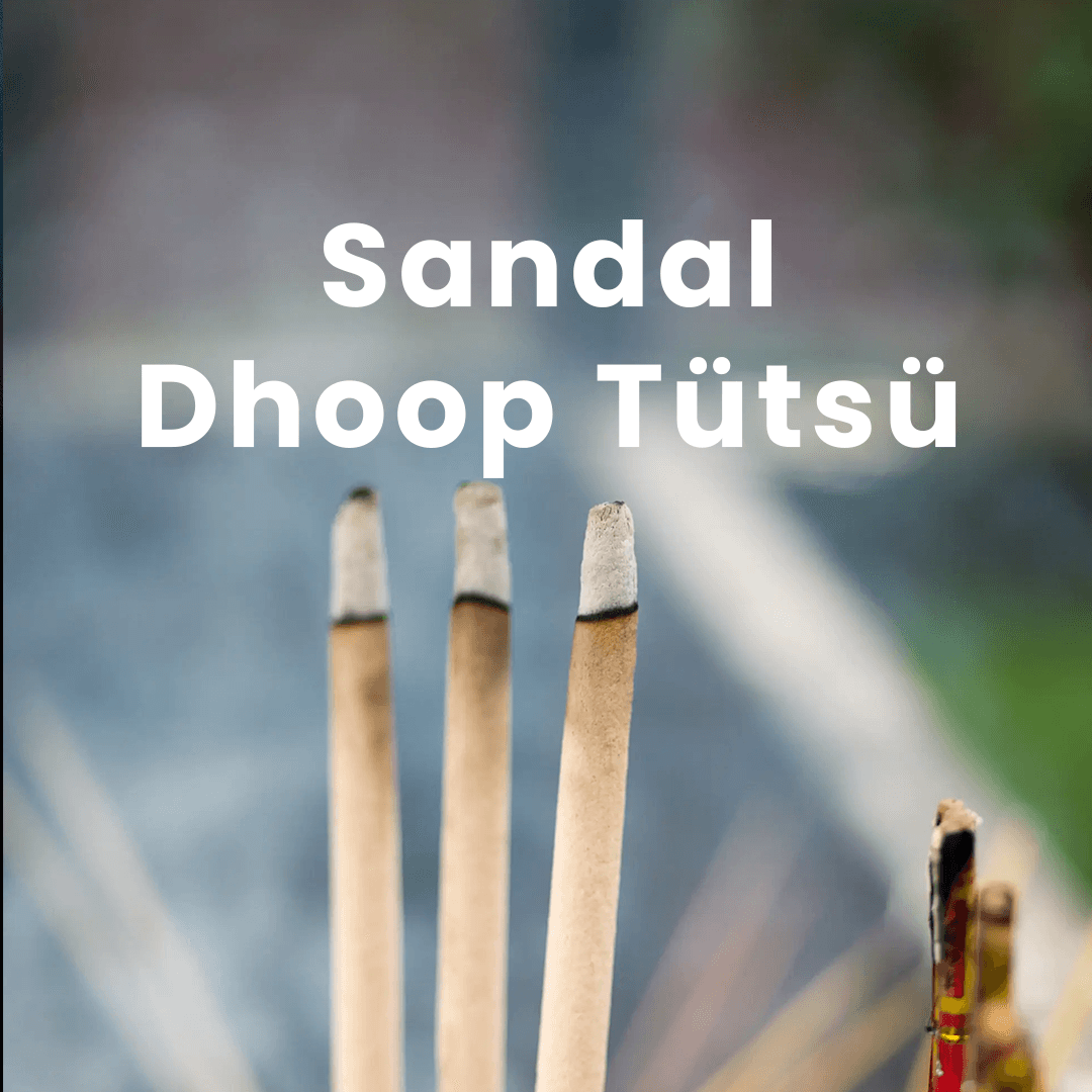 Sandal Ancient Grove Dhoop Tütsü main variant image