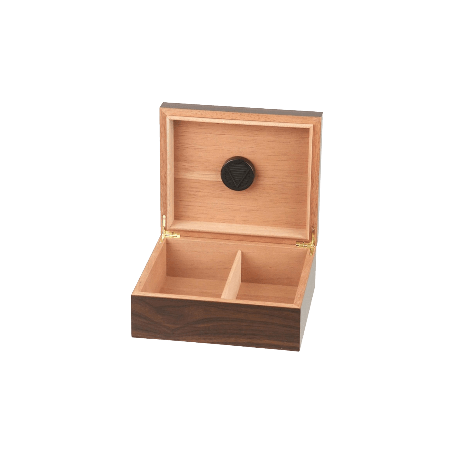 Walnut Regal Humidor