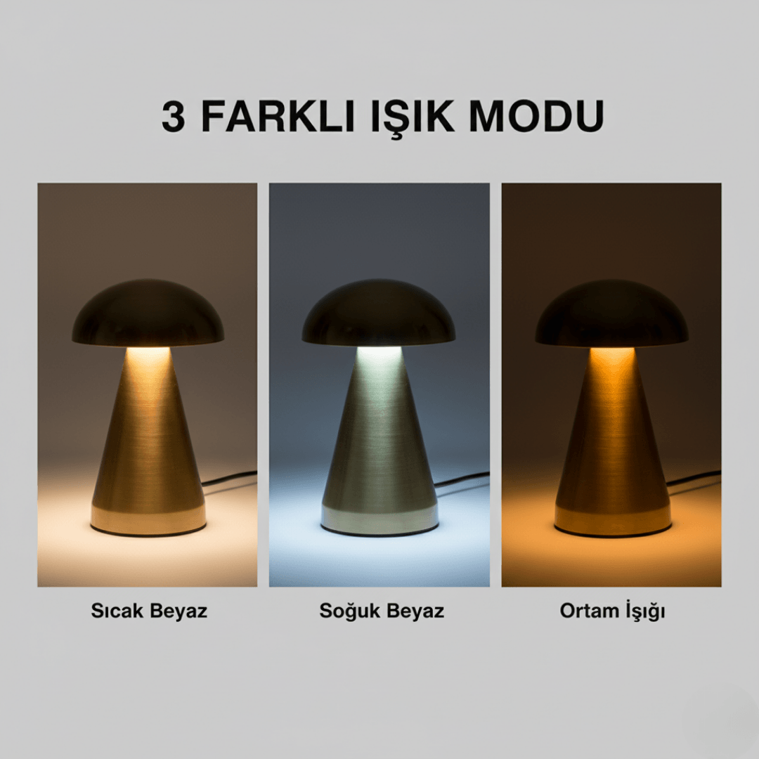 Çok Renkli Led Masaüstü Lamba