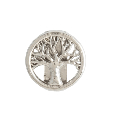 CHARM Silver - 02
