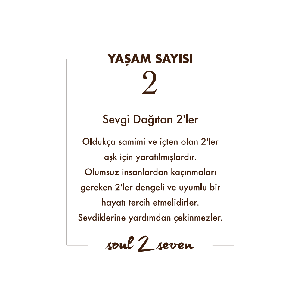 MİNİ YAŞAM SAYISI 2