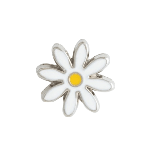 CHARM Silver - 04