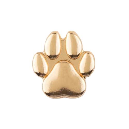 CHARM Gold - 20