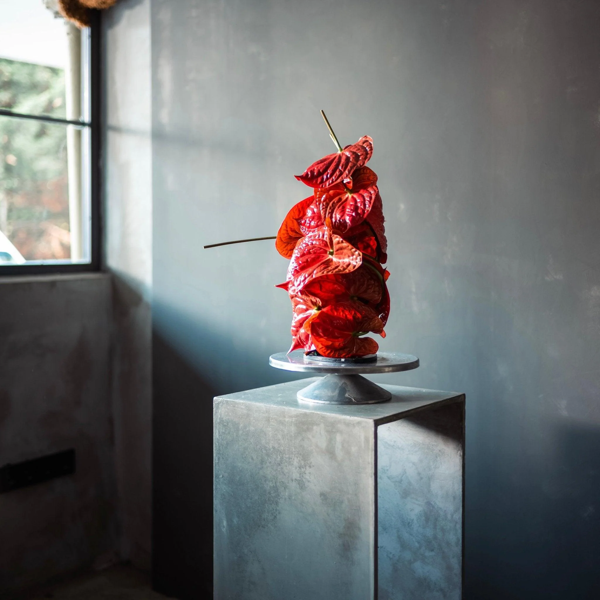 ANTHURIUM Hoodie - Siyah