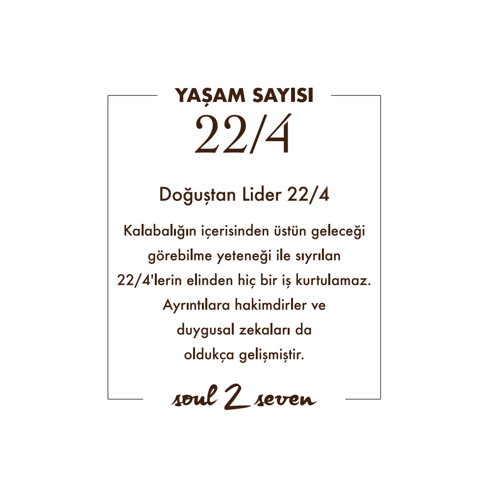 MİNİ YAŞAM SAYISI 22/4 