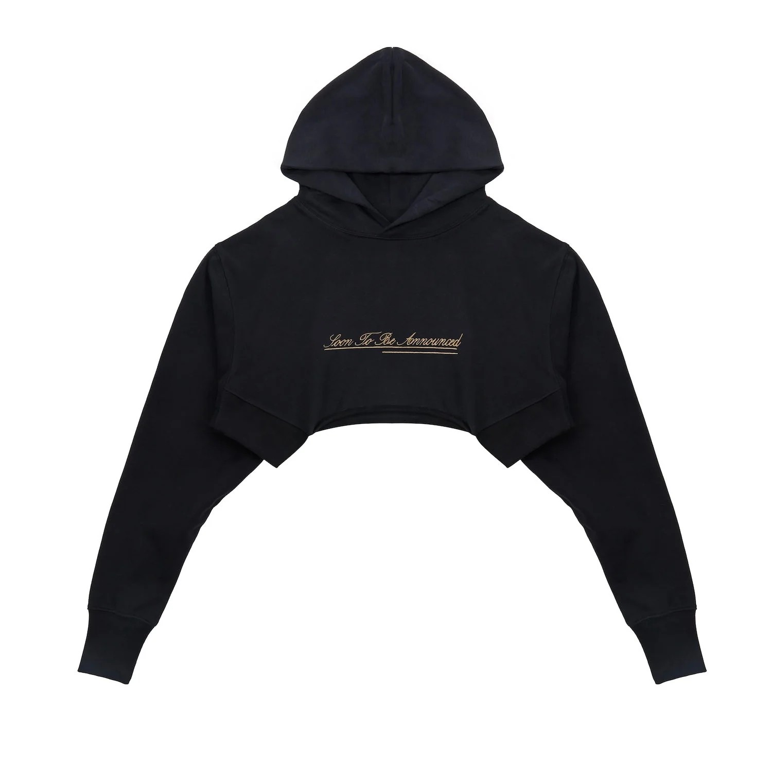 STB EMBROIDERY Crop Hoodie