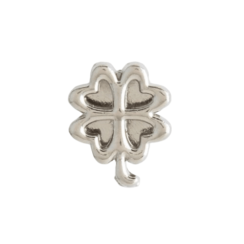CHARM Silver - 01