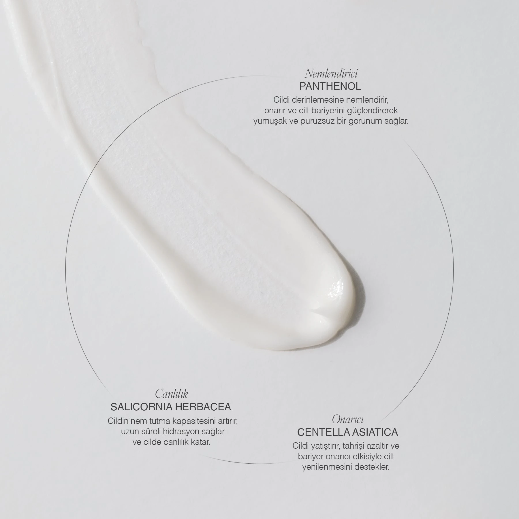 Daily Moisturizing Cream