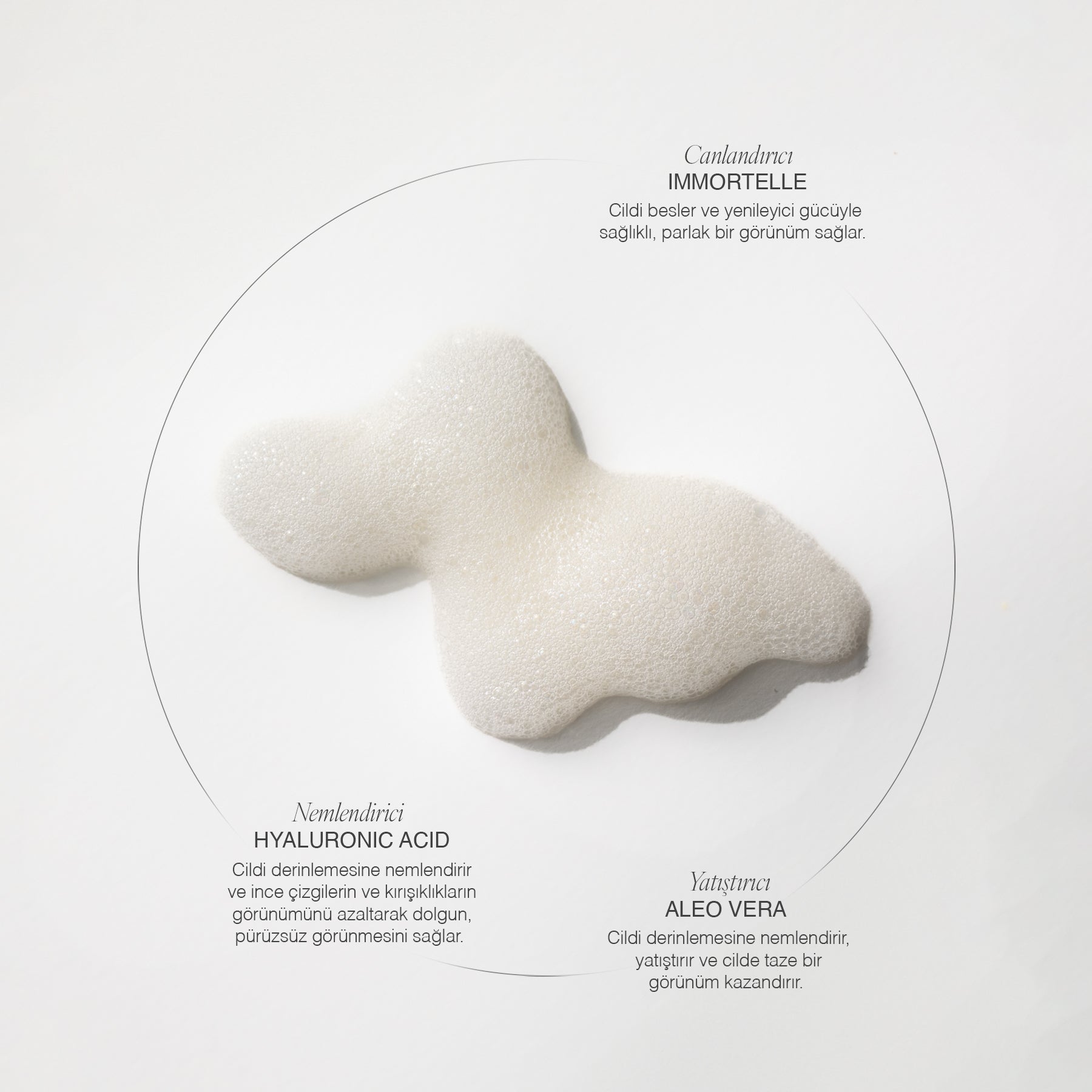 Foaming Cleanser Dry-Normal