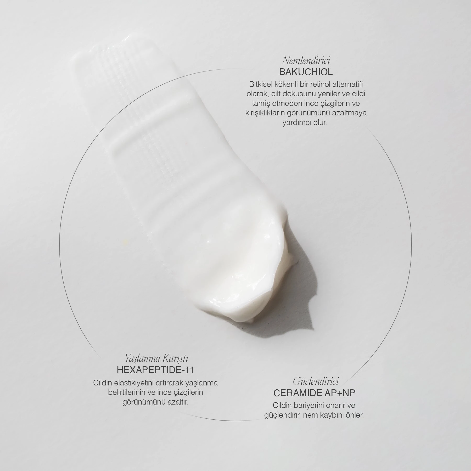 Bakuchiol Night Cream