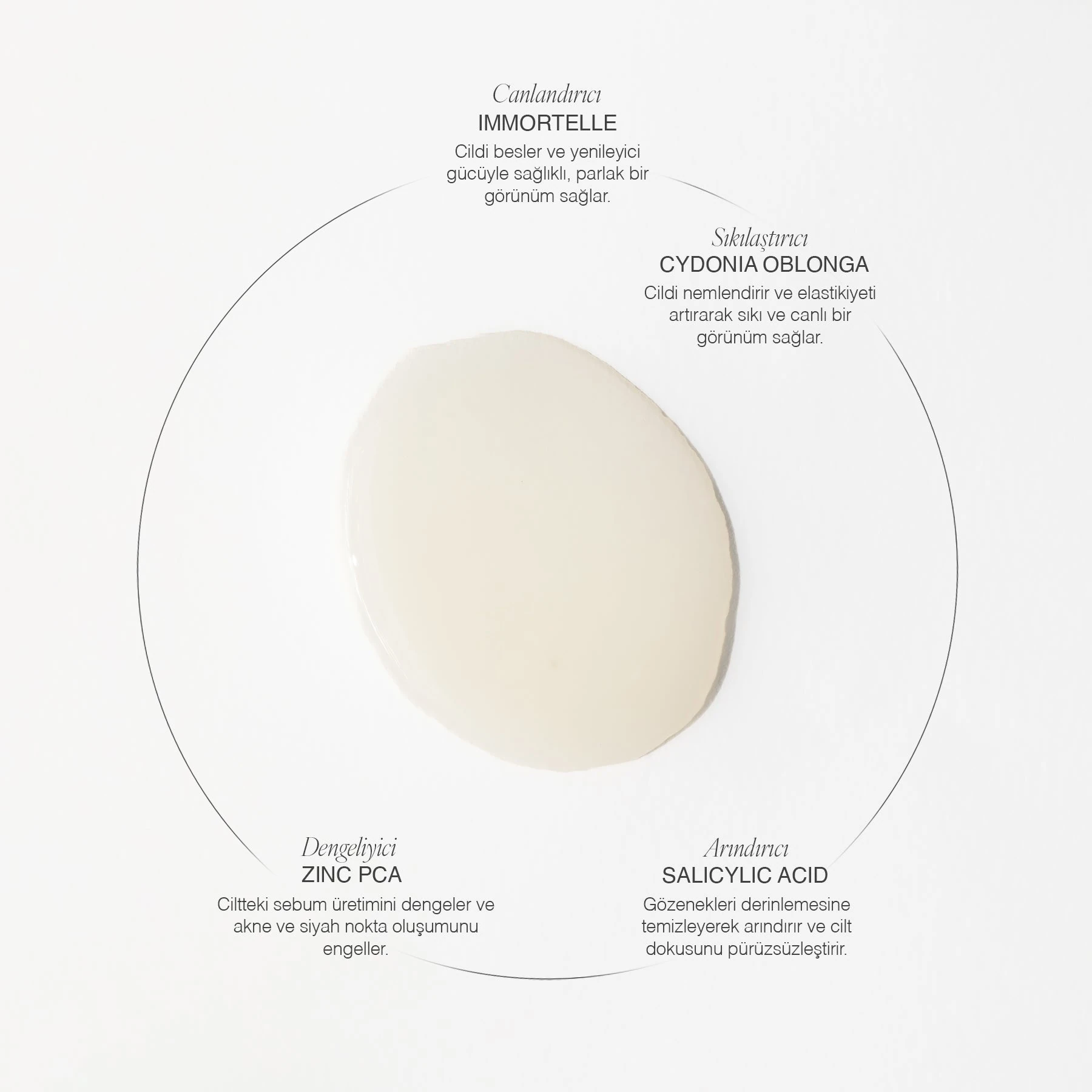 Pure Salicylic Toner