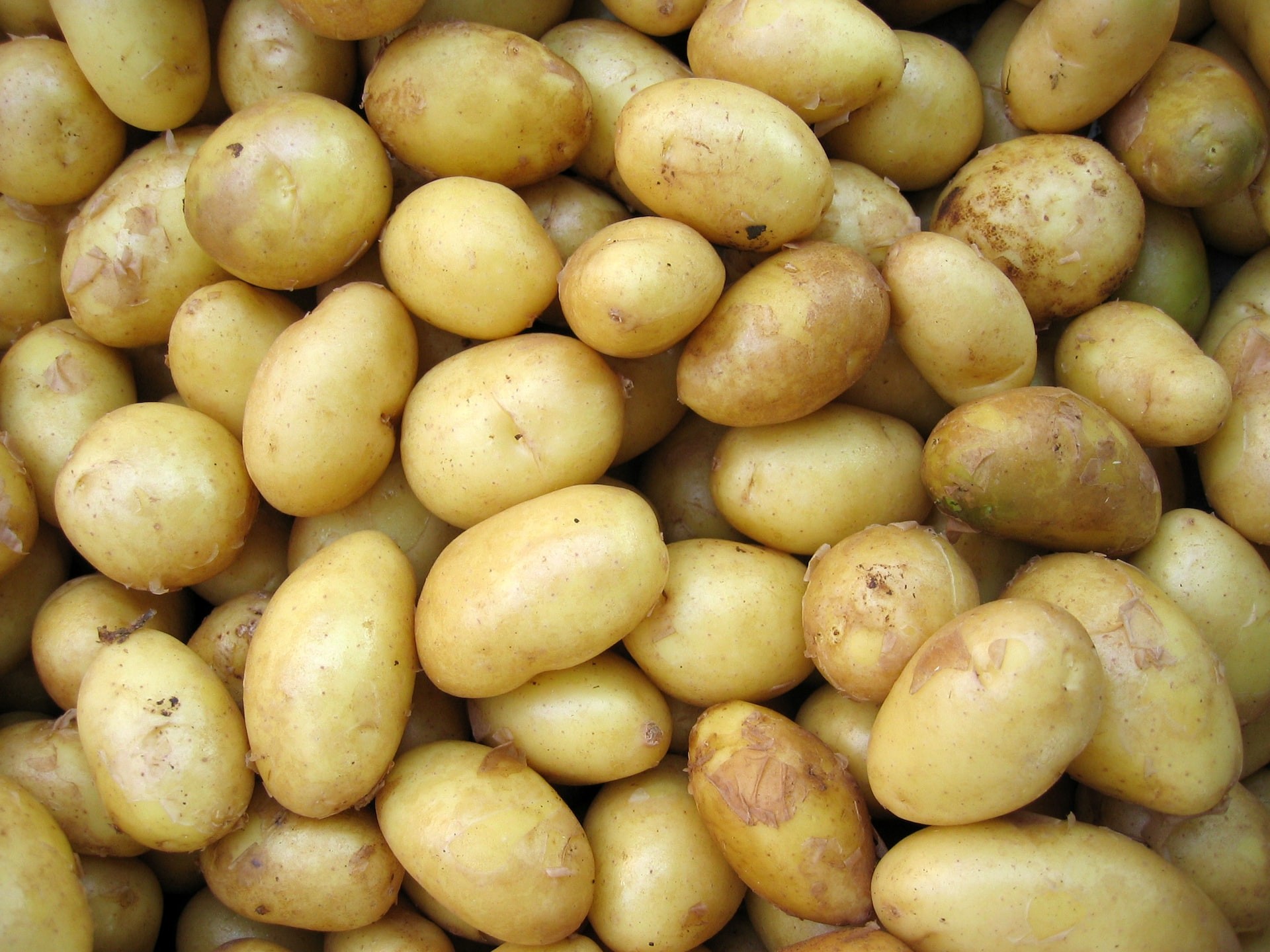 Patates diyeti ve detoksu nasıl yapılır? Haşlanmış patates diyeti ile kilo vermek cover
