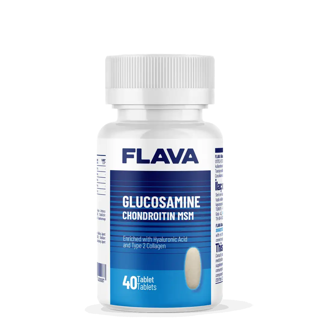 GLUCOSAMINE CHONDROITIN MSM