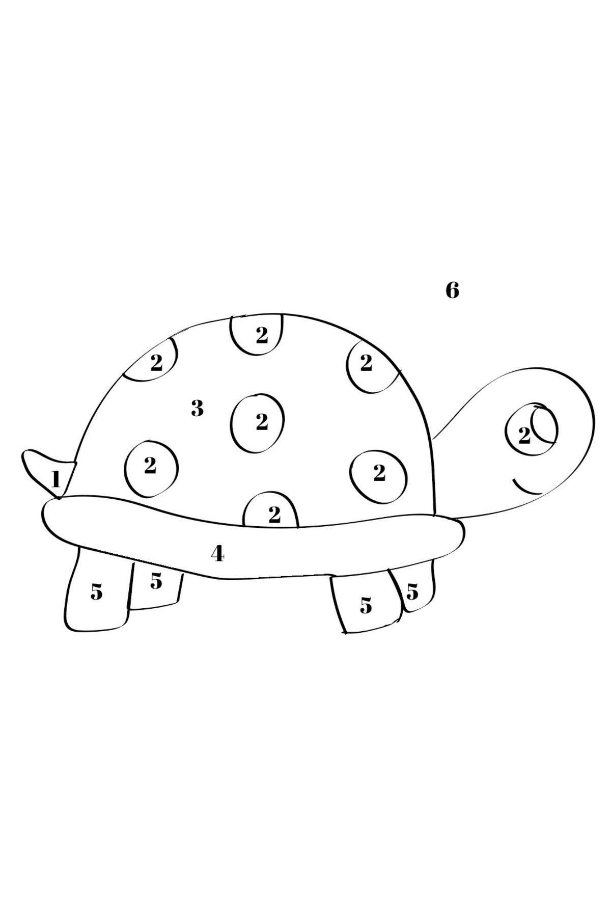 Sayılarla Boyama Minimalist Hobi Tablo Setleri Sevimli Kaplumbağa