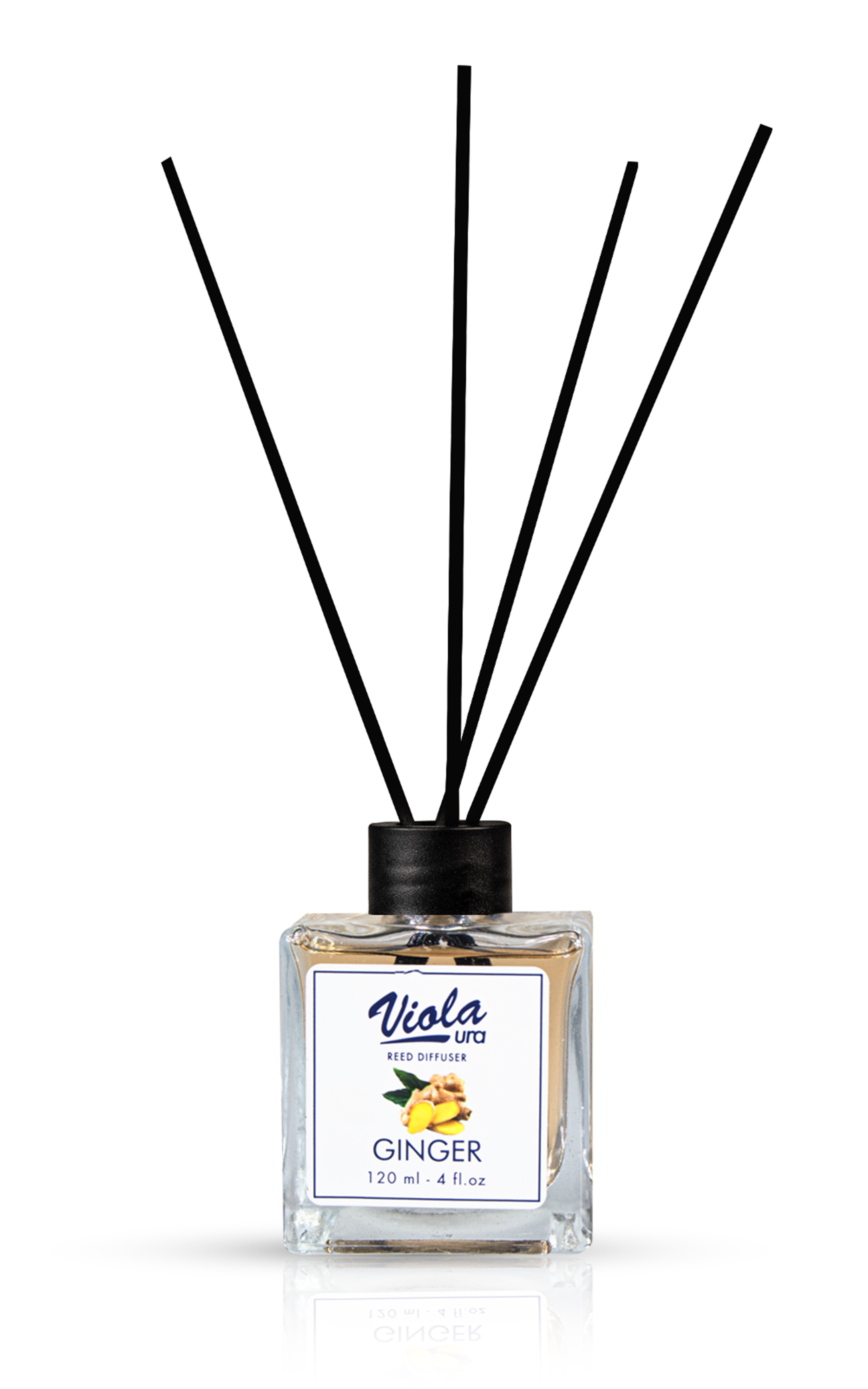 Reed diffuser Ginger 120 ML 