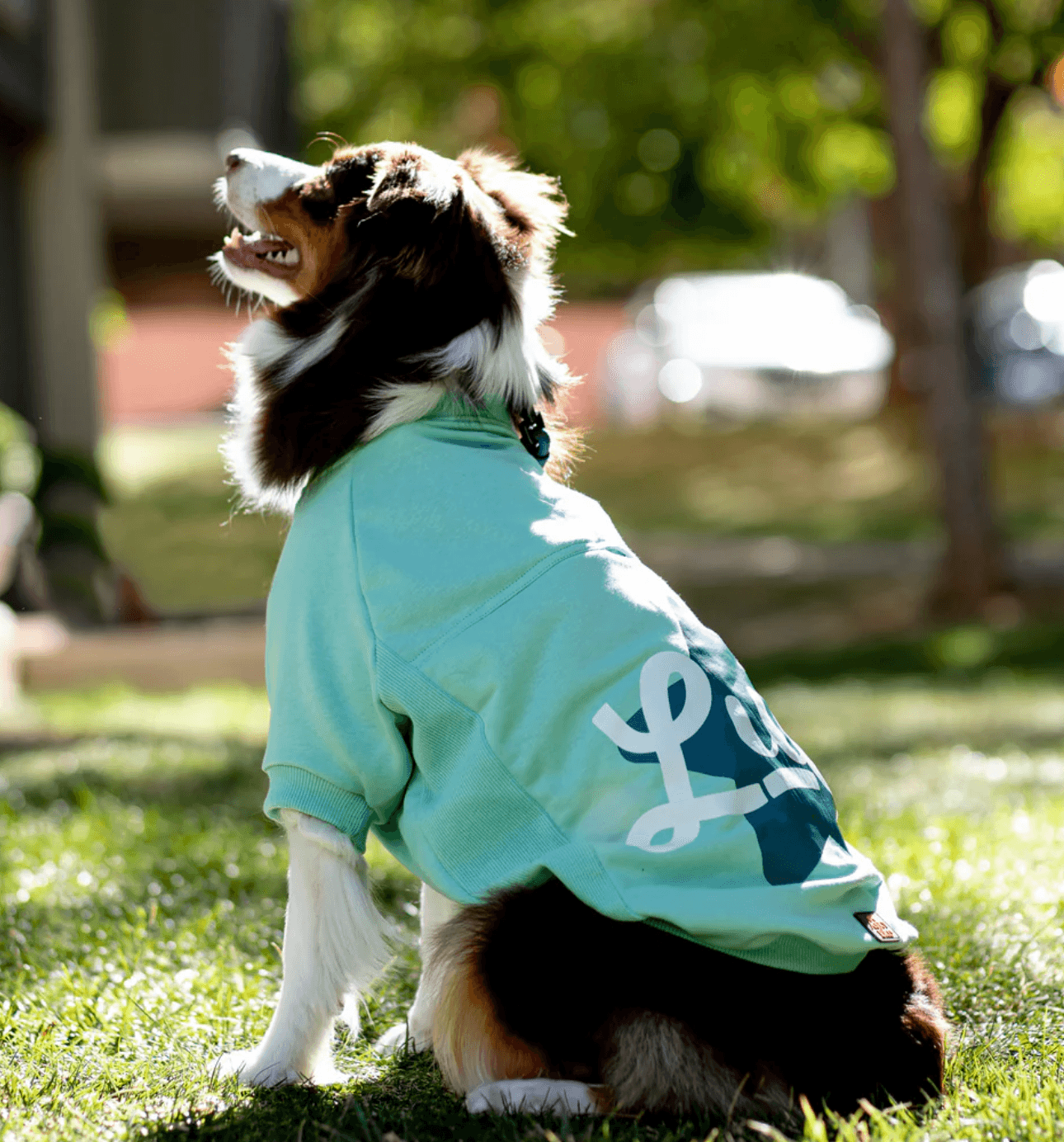 Luck Sweatshirt
