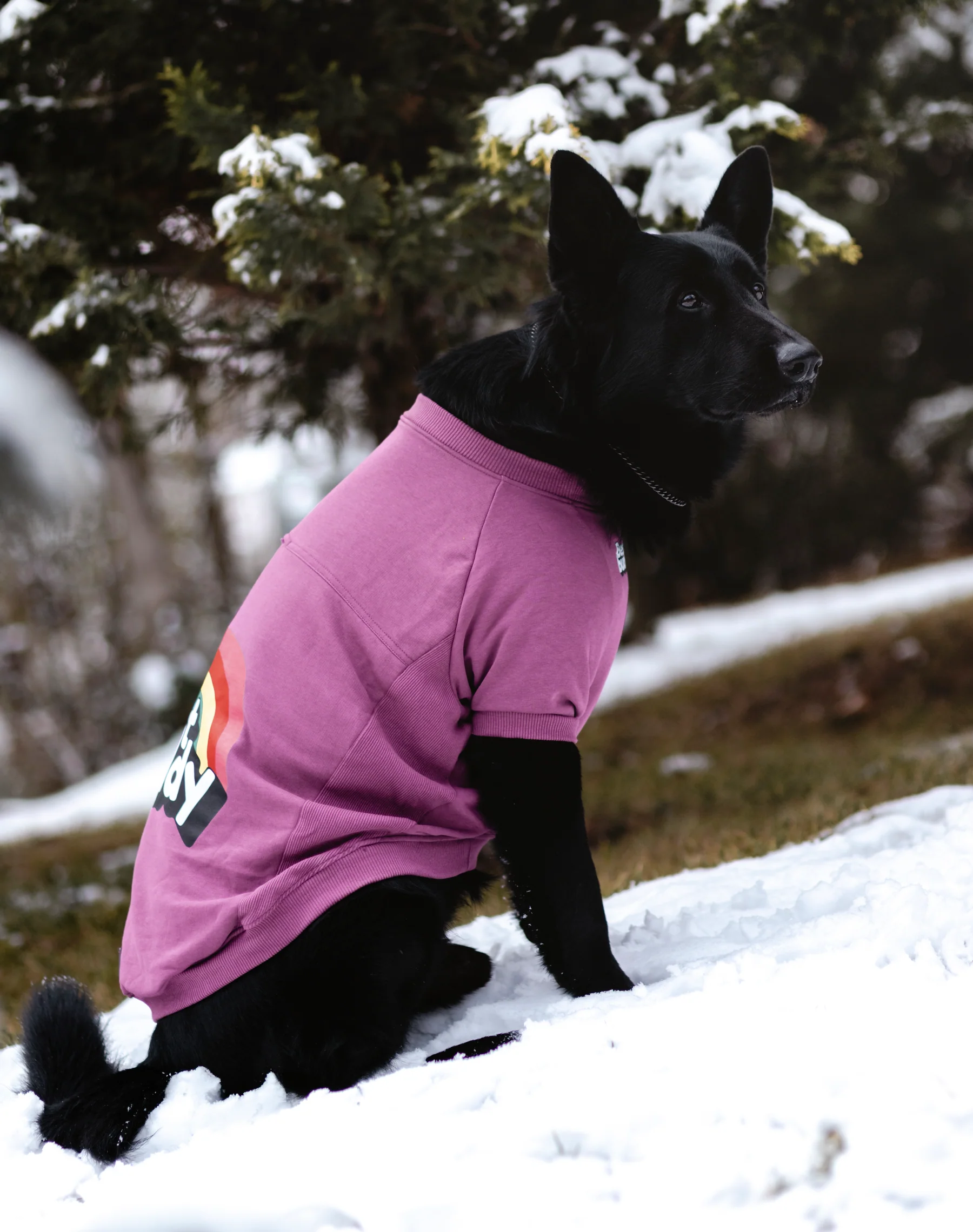 BEST BUDDY SWEATSHIRT