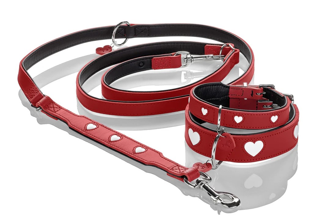 Love Boyun Tasması Medium/55