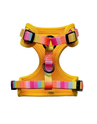 Rainbow Harness Set