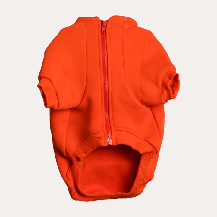 COZY HOODIE