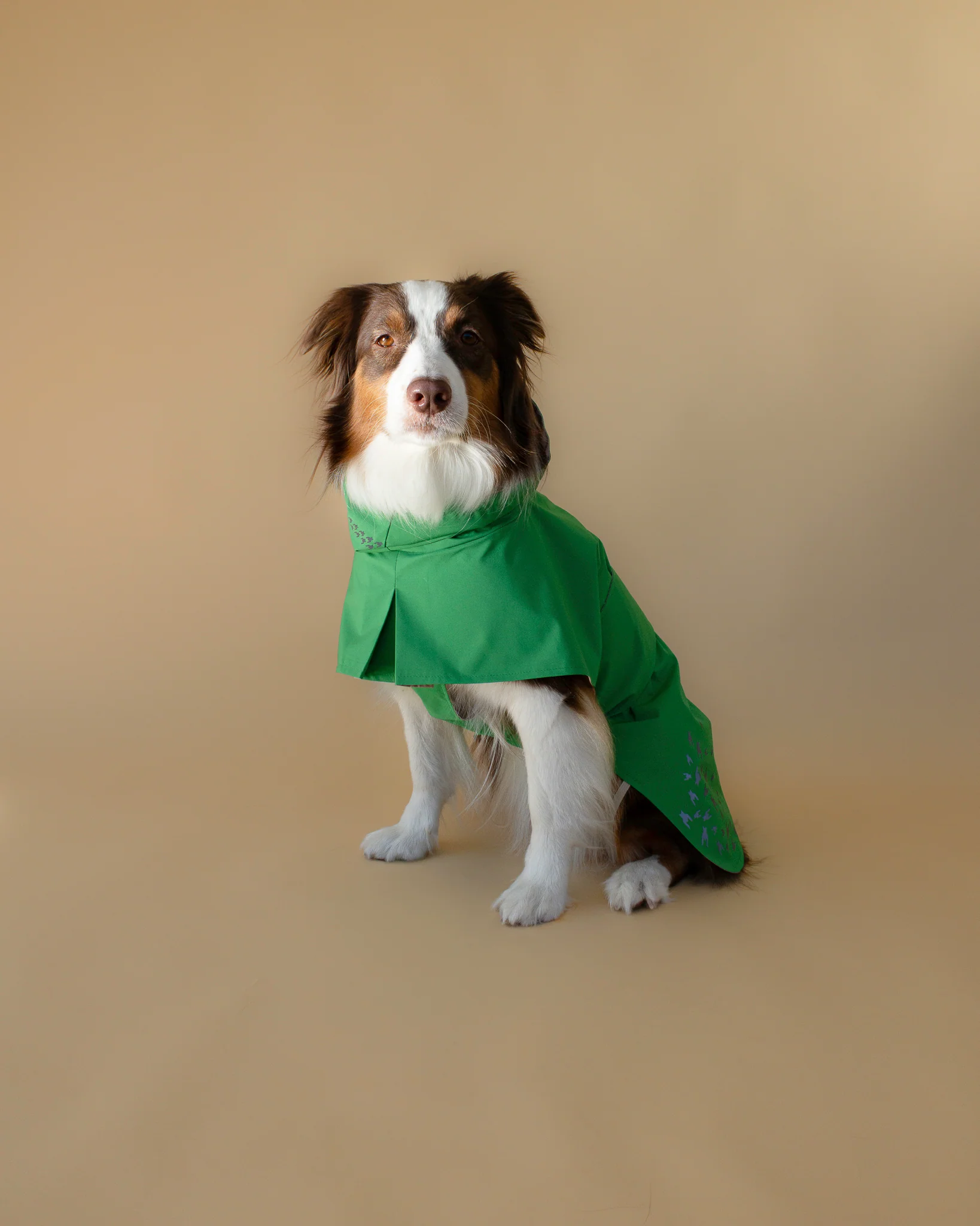 SEATTLE RAINCOAT 