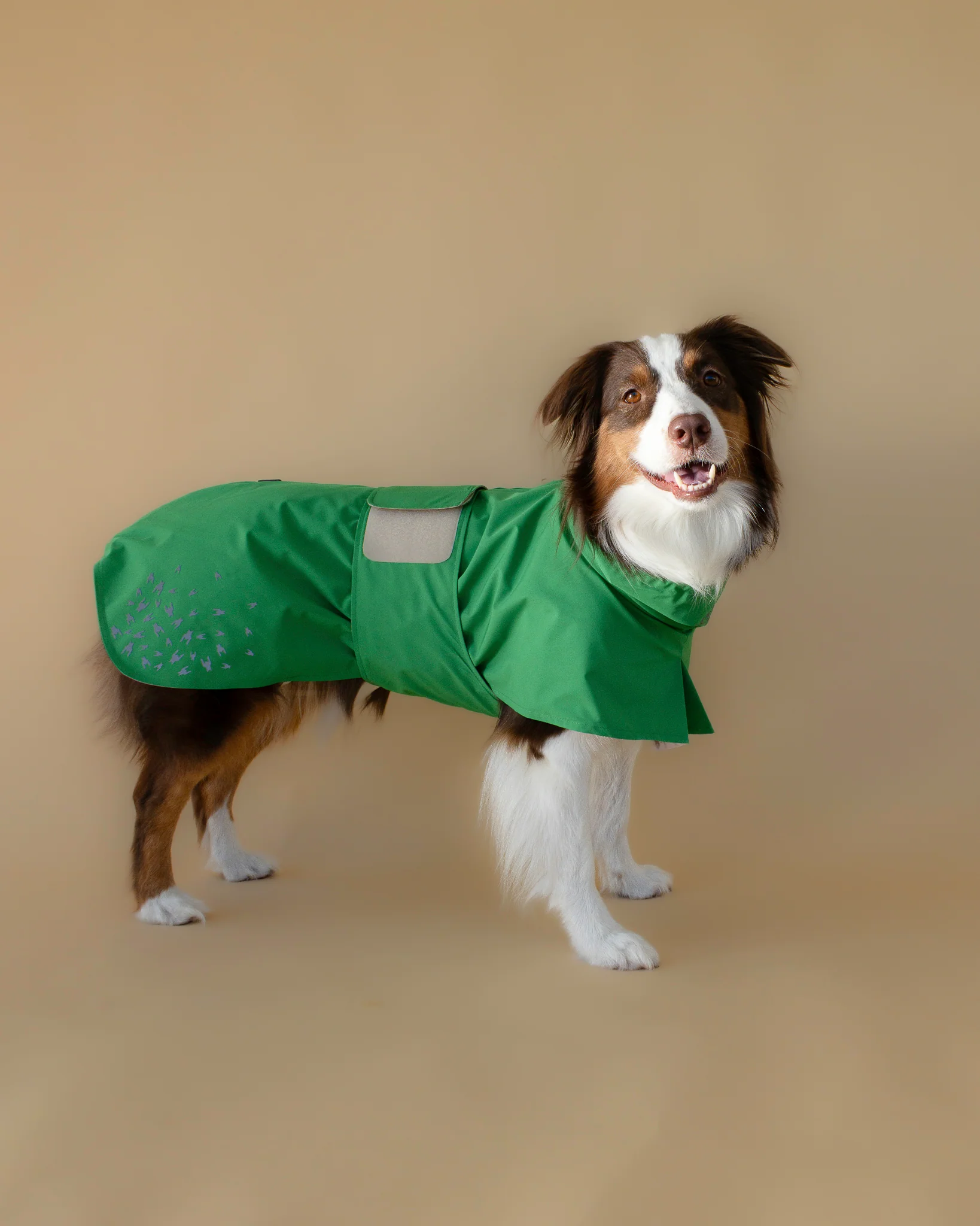 SEATTLE RAINCOAT 
