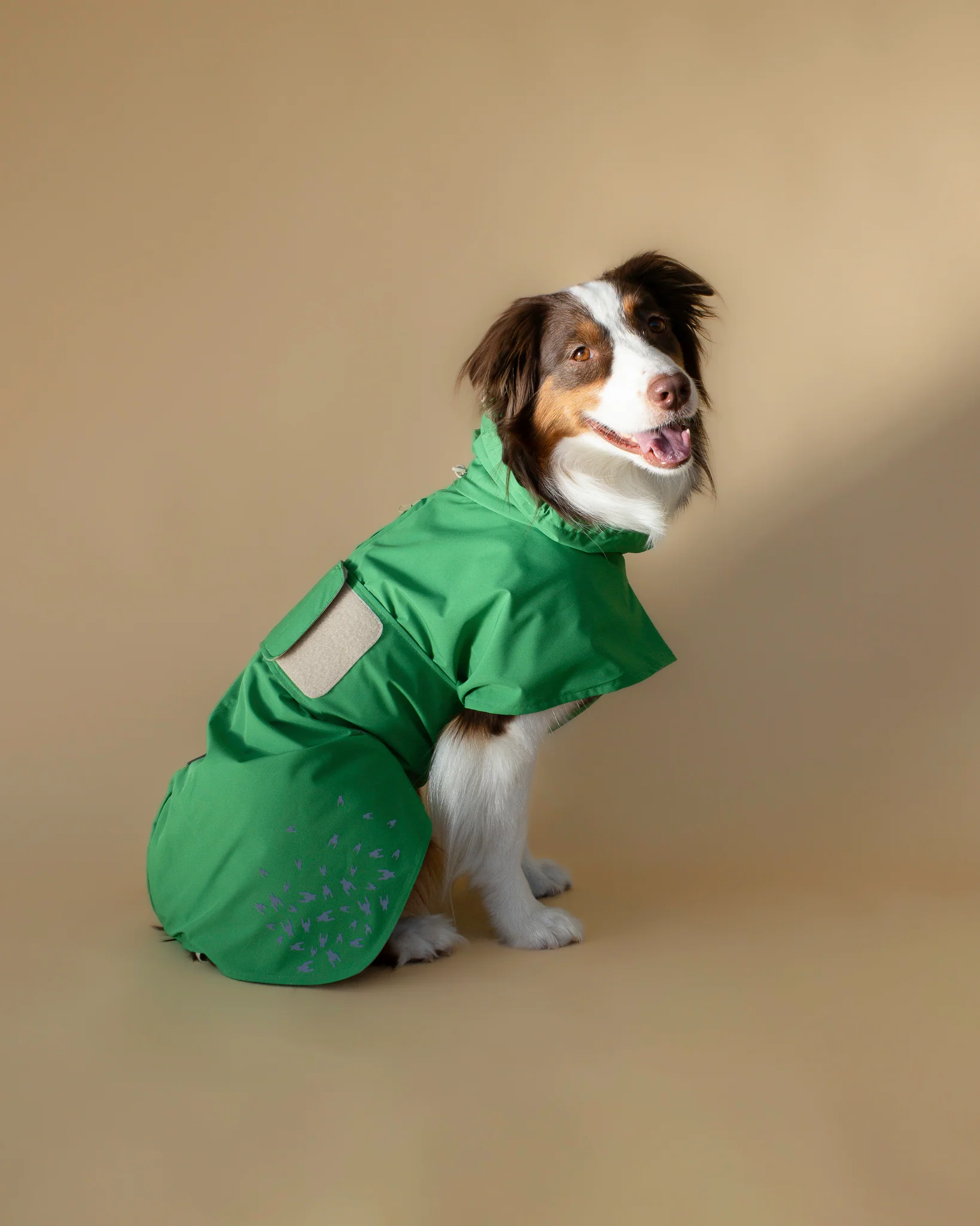 SEATTLE RAINCOAT 