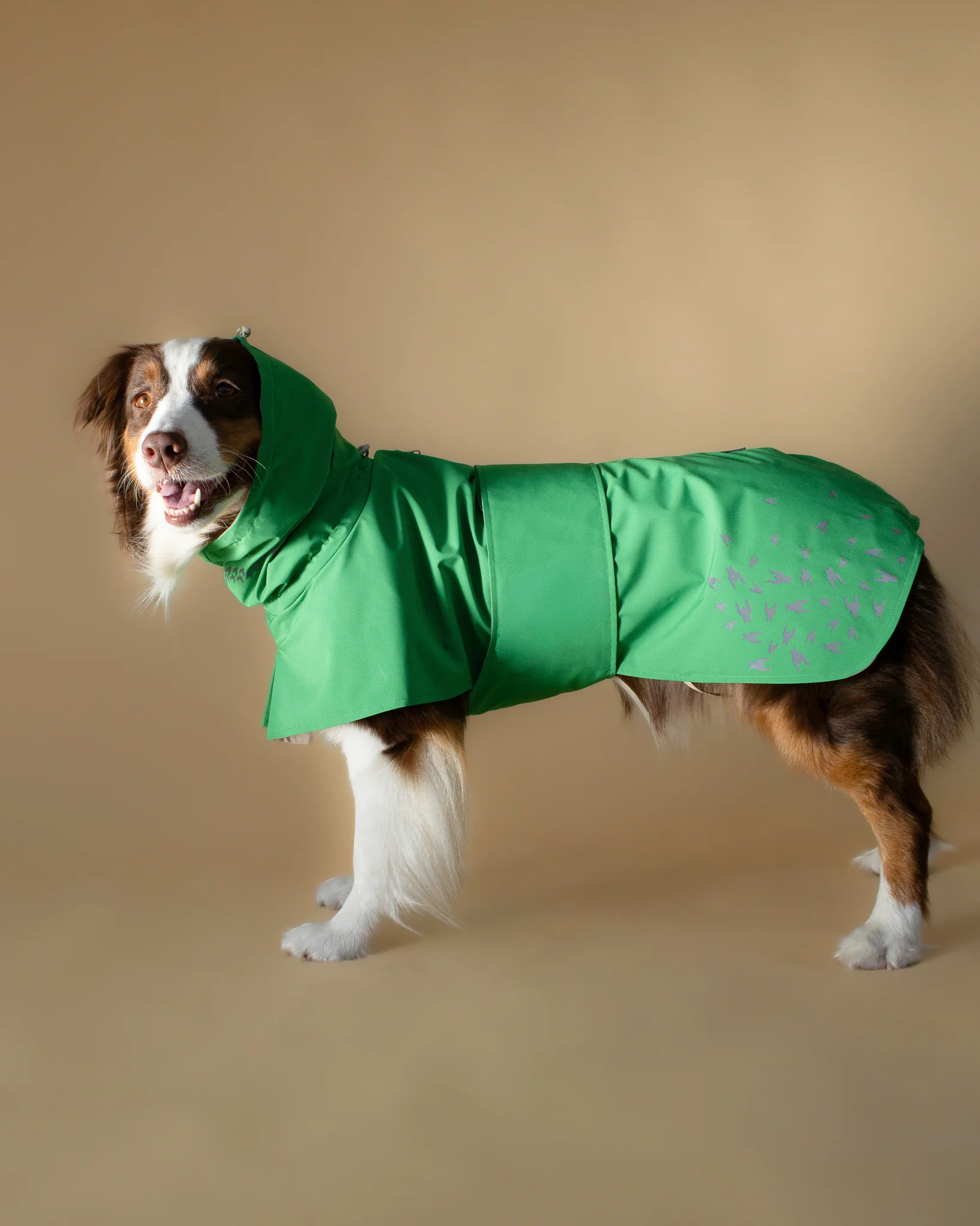 SEATTLE RAINCOAT 