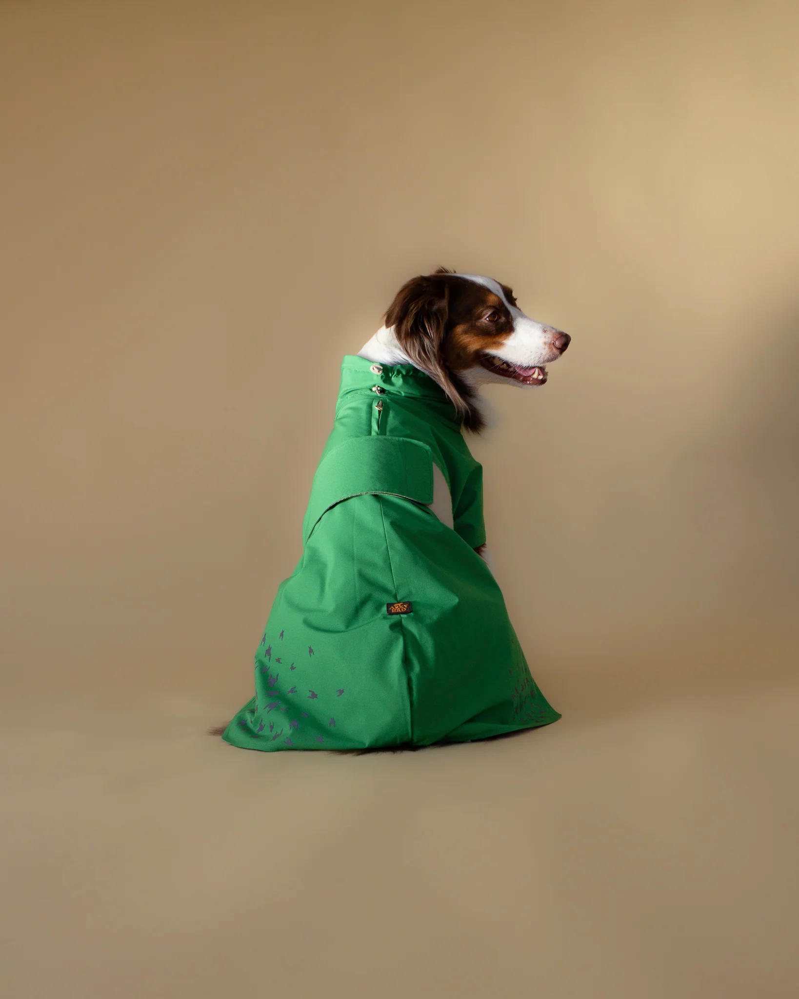 SEATTLE RAINCOAT 