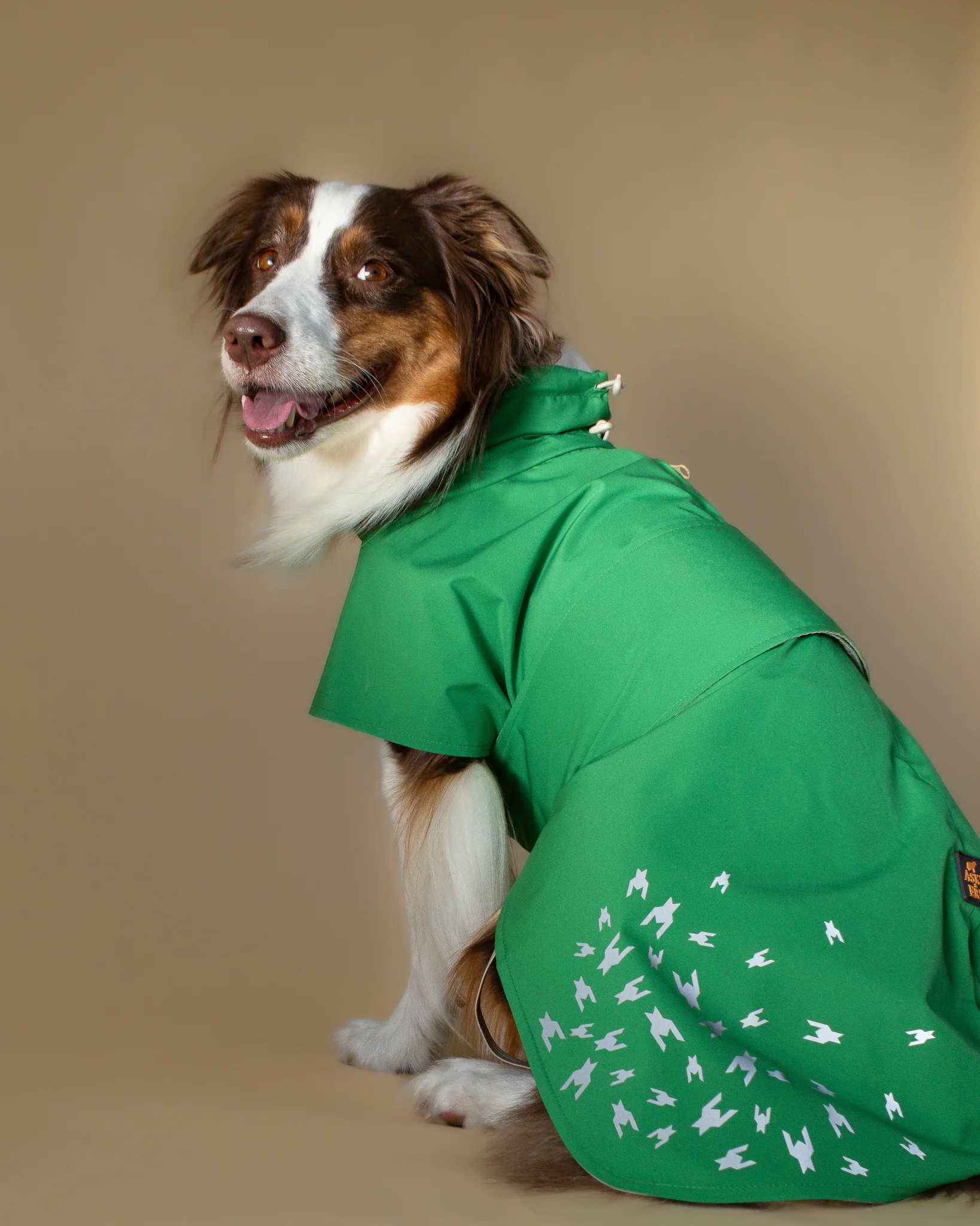 SEATTLE RAINCOAT 