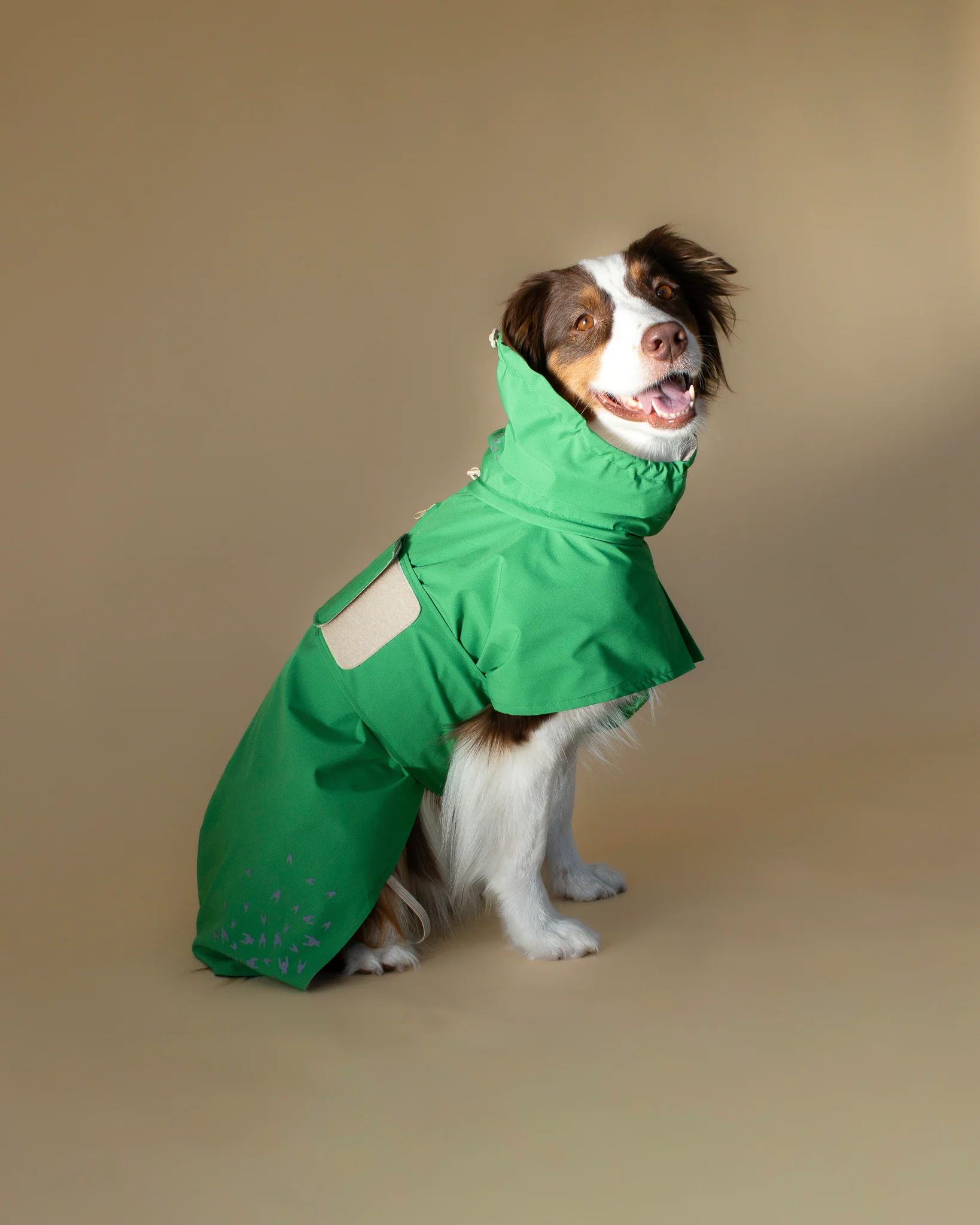 SEATTLE RAINCOAT 