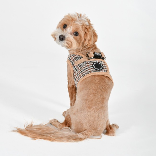 PUPPIA LUCAS HARNESS