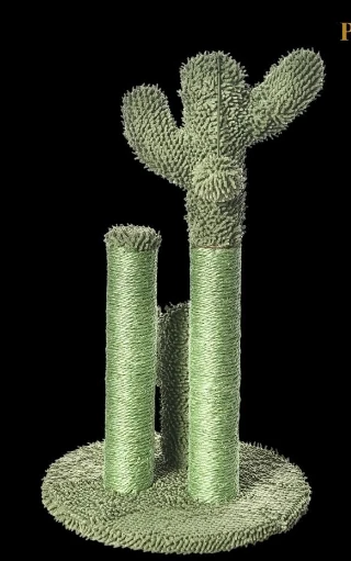 KAKTÜS KEDİ TIRMALAMA