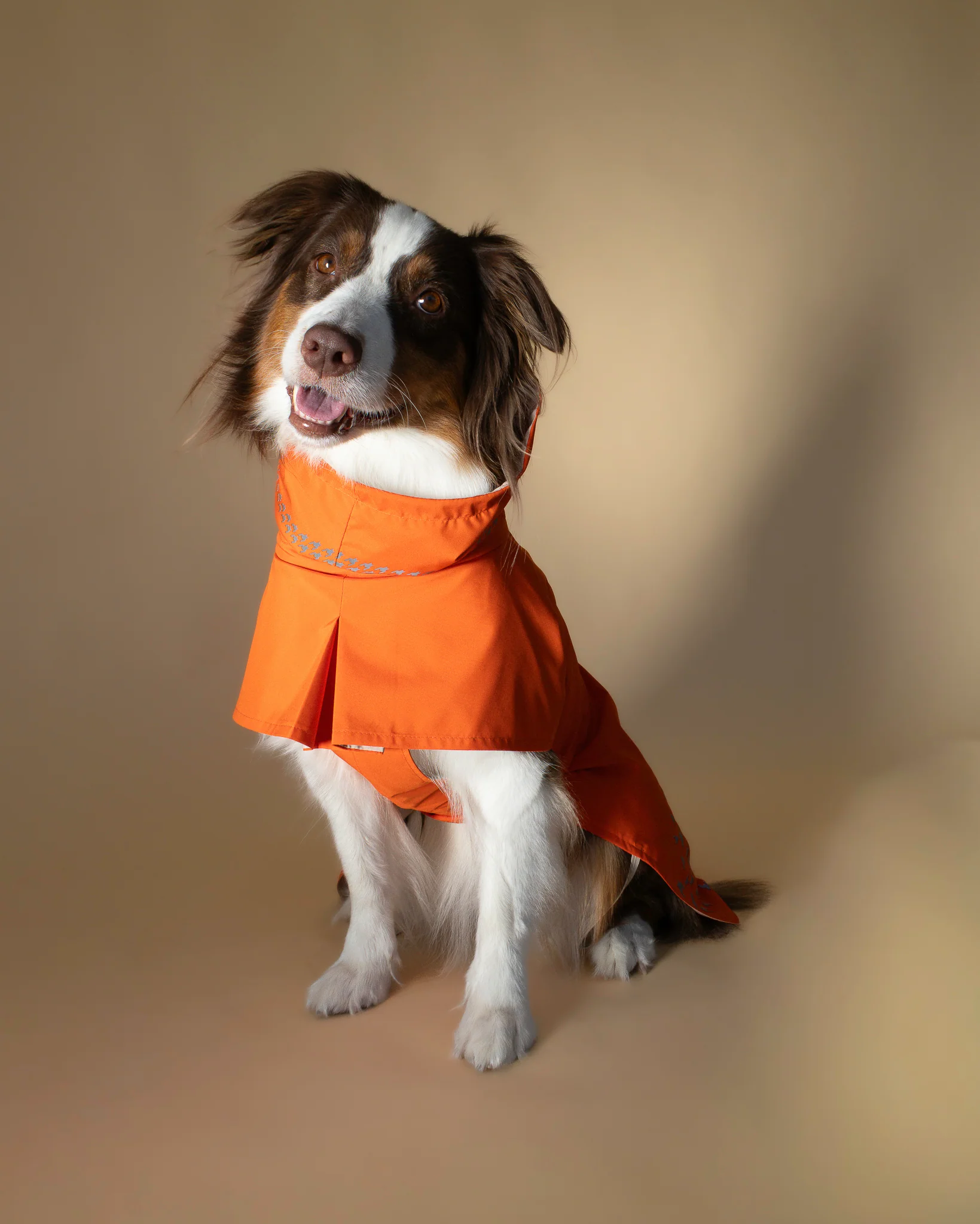 SEATTLE RAINCOAT AMBER GLOW