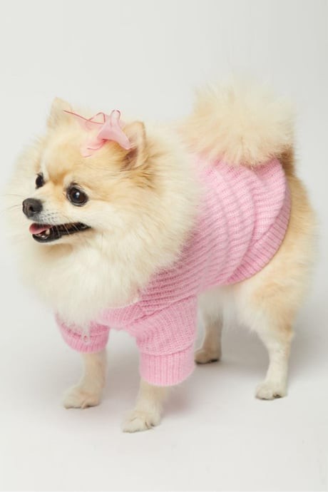 Basic Triko Köpek Kazak - Pembe