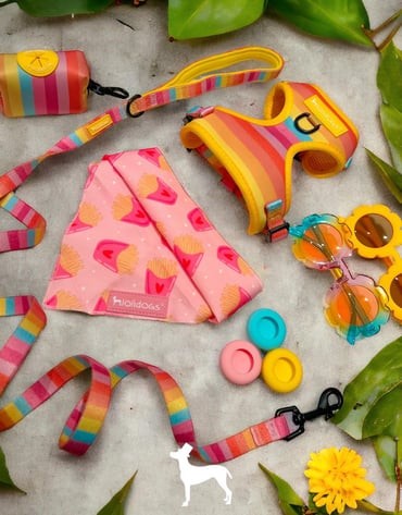Rainbow Harness Set