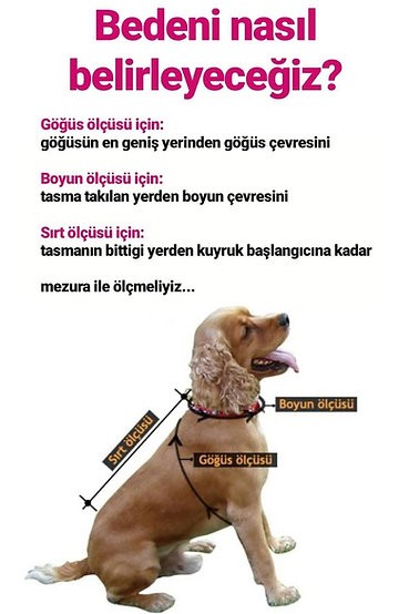 Dinazor Desenli Yağmurluk