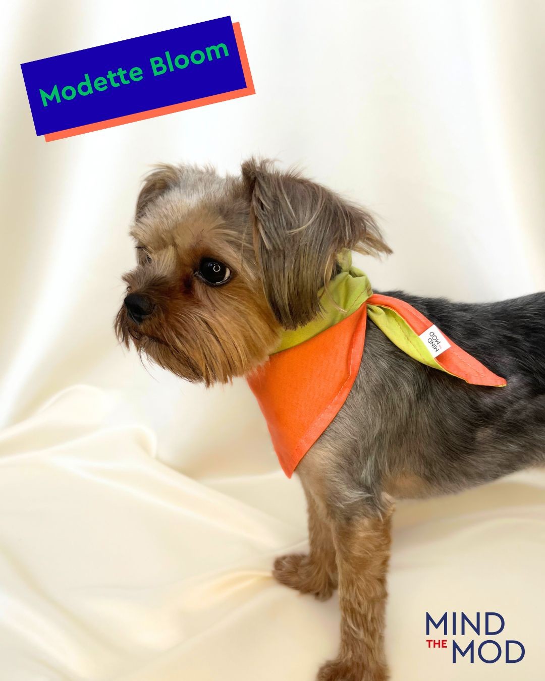 Modette Bloom Köpek Bandanası