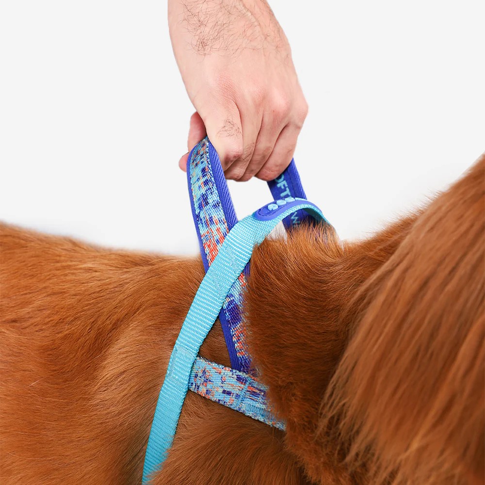 Anti-Pull SofterWalk Harness