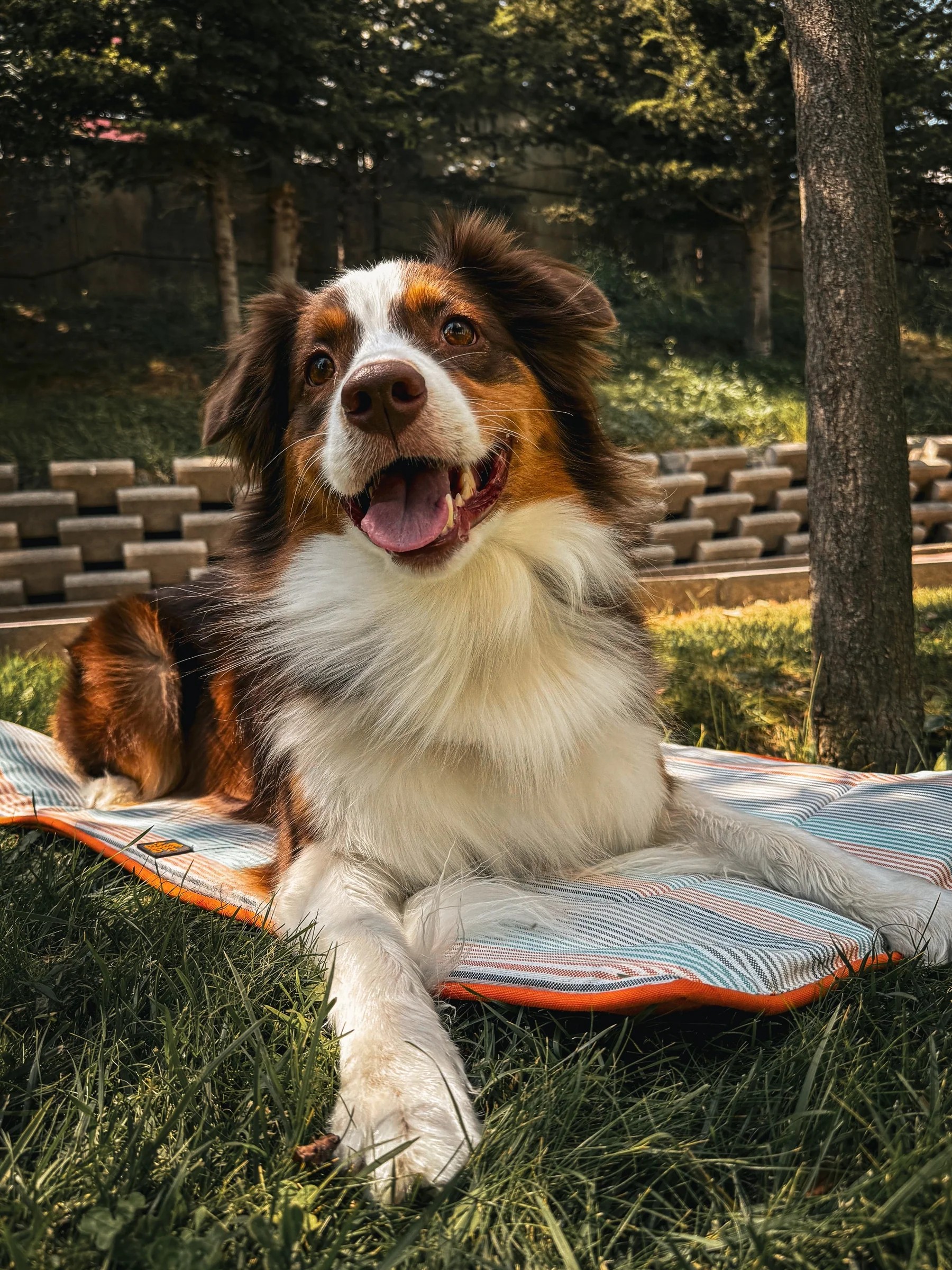 TRAVEL BED