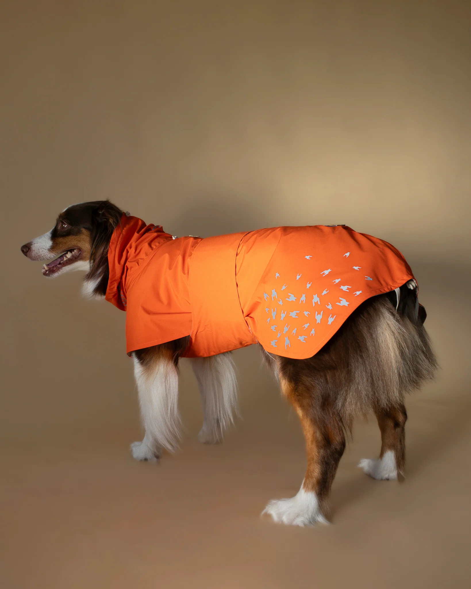 SEATTLE RAINCOAT AMBER GLOW