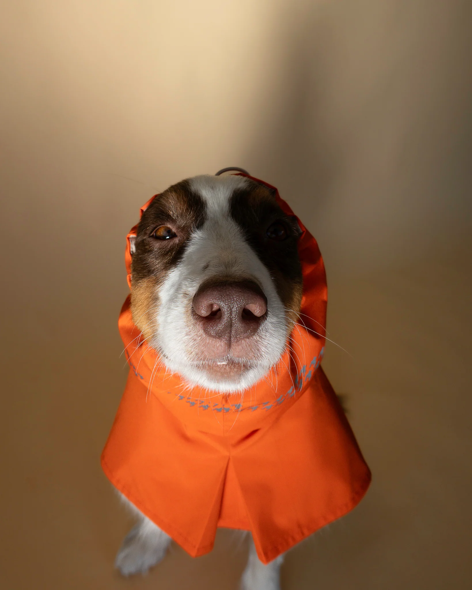 SEATTLE RAINCOAT AMBER GLOW