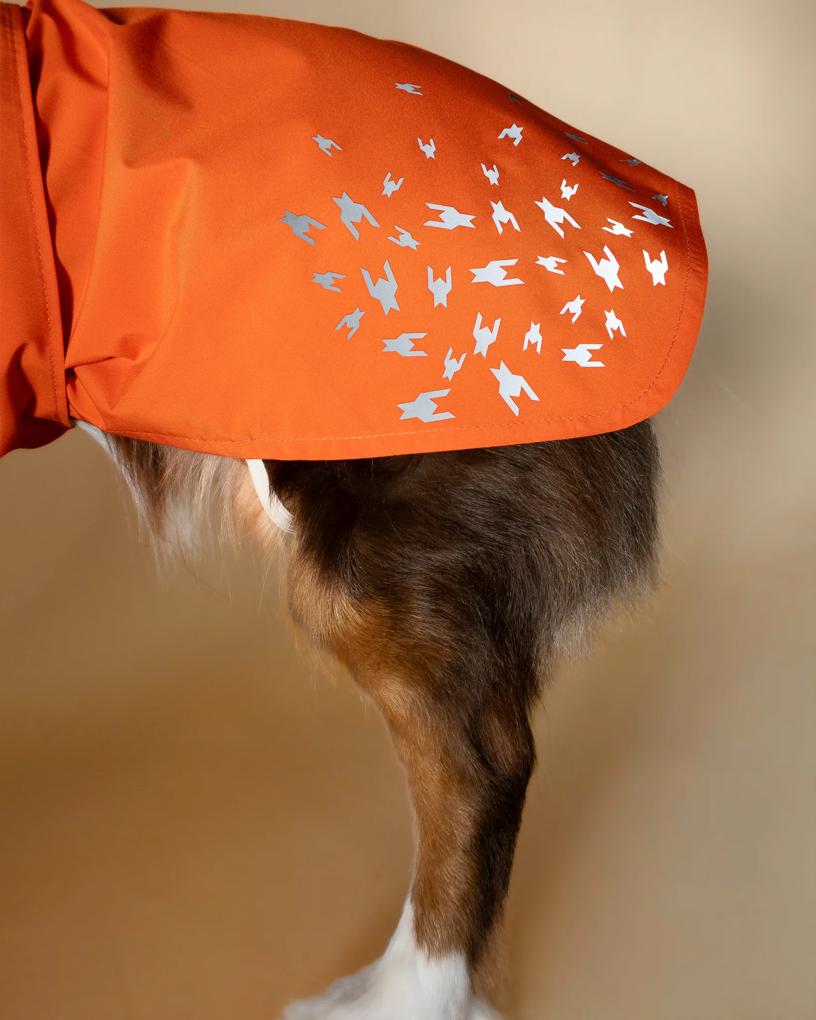 SEATTLE RAINCOAT AMBER GLOW