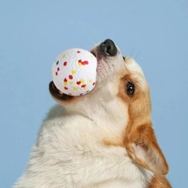 BLOOM PARÇALANMAZ RUGBY TOPU MIX COLOR