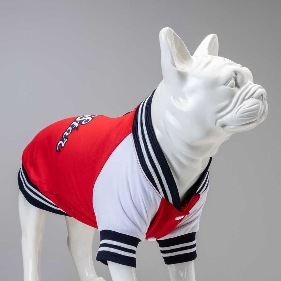 College Köpek Sweatshirt - AllStar