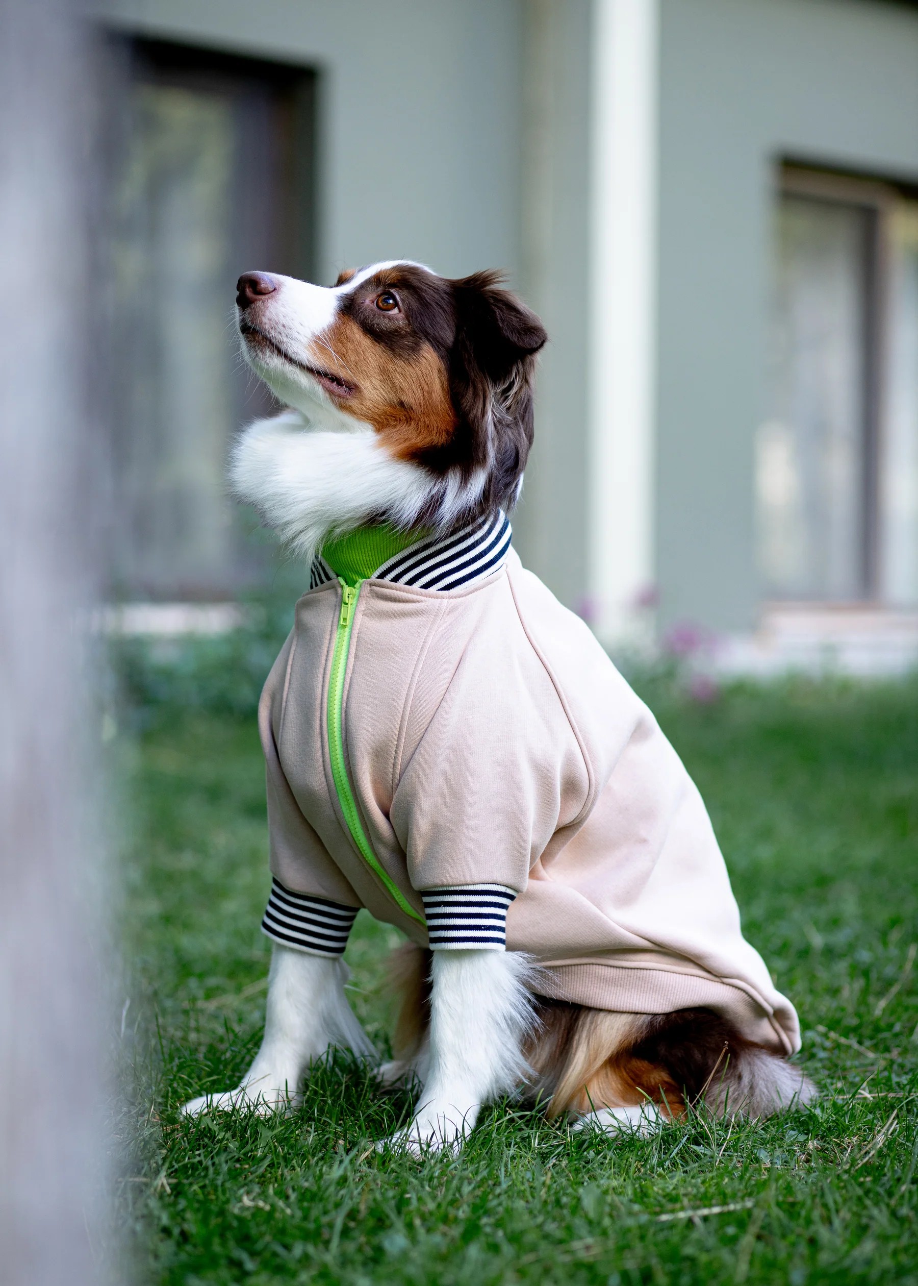 BOMBER JACKET