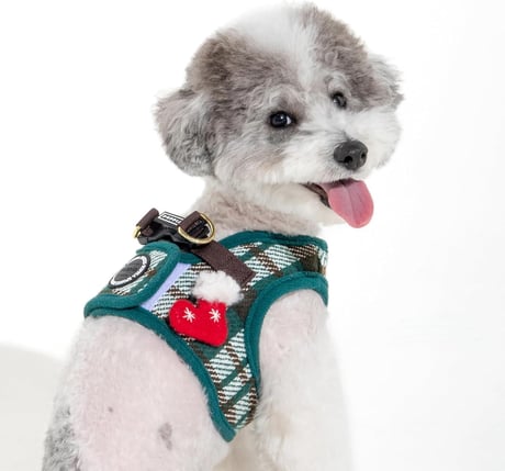 FESTIVE HARNESS