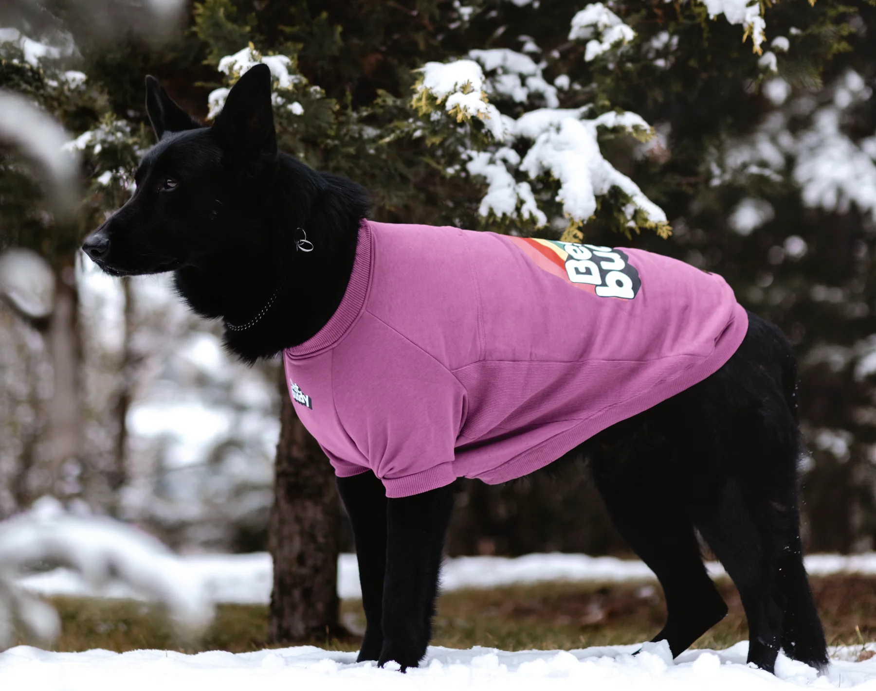 BEST BUDDY SWEATSHIRT
