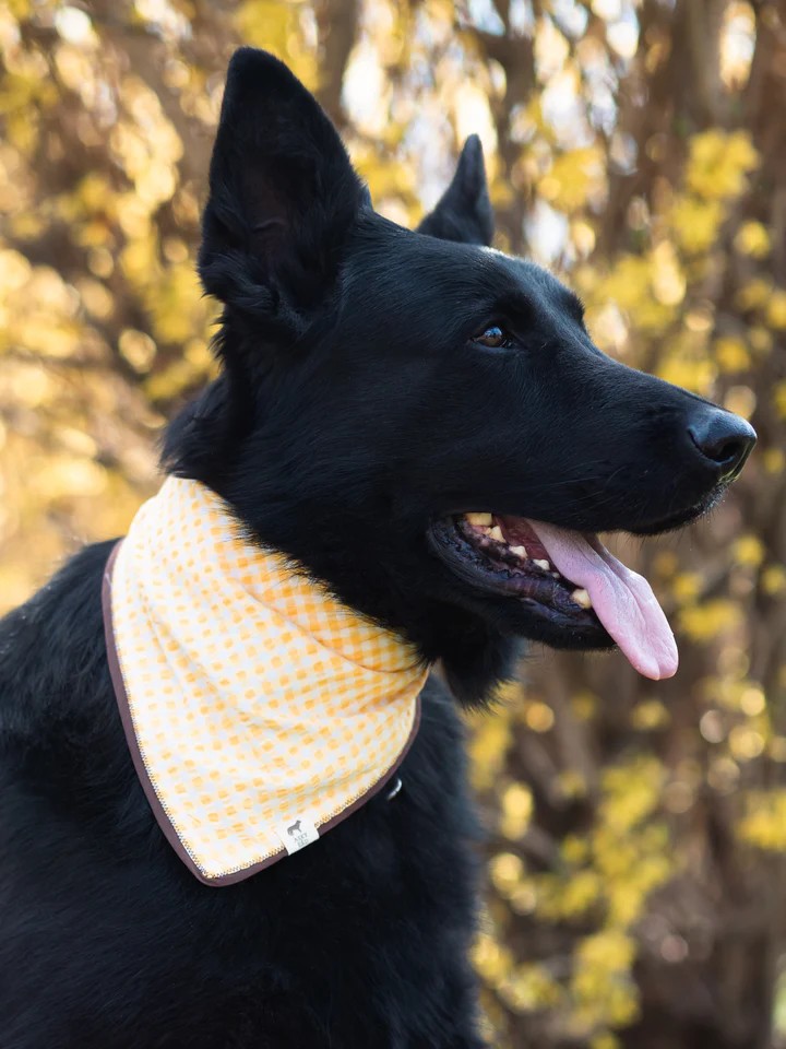 BANDANA YELLOW PLAID